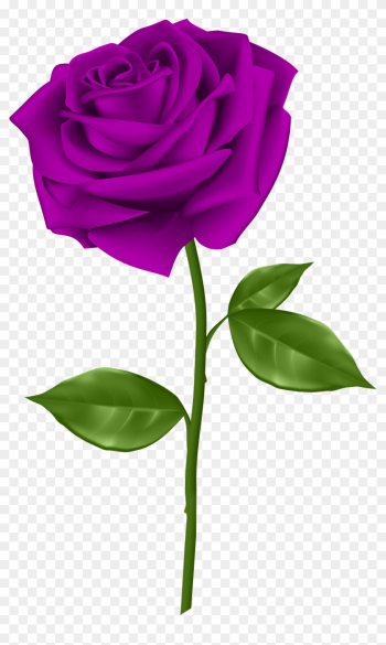 Purple Rose Transparent Png Clip Art - Single Red Rose Clip Art Purple Rose Transparent Png Clip Art - Single Red Rose Clip Art