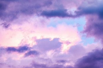 Purple Sky Purple Sky