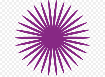 Purple vector circle Purple vector circle