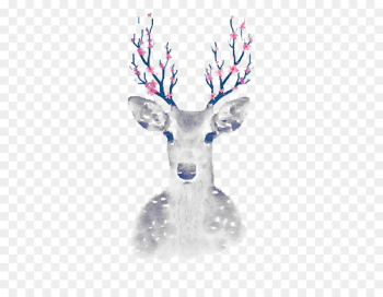 Pxe8re Davids deer Cartoon - White Deer 