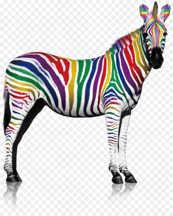 Quagga Zebra Lacquer Printing - Color Zebra Quagga Zebra Lacquer Printing - Color Zebra