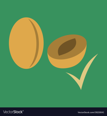 Quality realistic plum plums isolated on vector image Quality realistic plum plums isolated on vector image