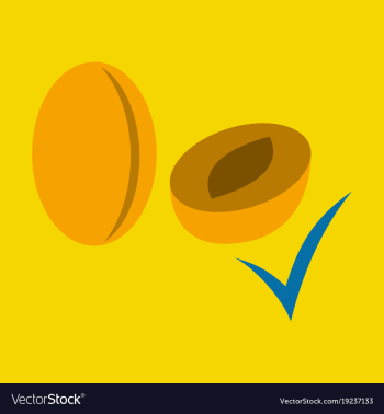 Quality realistic plum plums isolated on vector image Quality realistic plum plums isolated on vector image