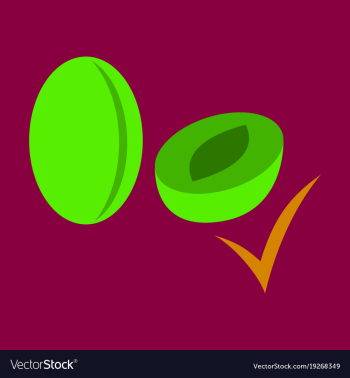 Quality realistic plum plums isolated on vector image Quality realistic plum plums isolated on vector image
