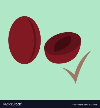 Quality realistic plum plums isolated on vector image Quality realistic plum plums isolated on vector image