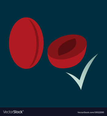 Quality realistic plum plums isolated on vector image Quality realistic plum plums isolated on vector image