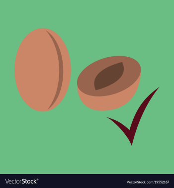 Quality realistic plum plums isolated on vector image Quality realistic plum plums isolated on vector image