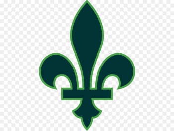 Quebec City Vector graphics Fleur-de-lis Flag of Quebec Illustration - green card logos 