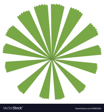 queensland or australian fan palm leaf queensland or australian fan palm leaf