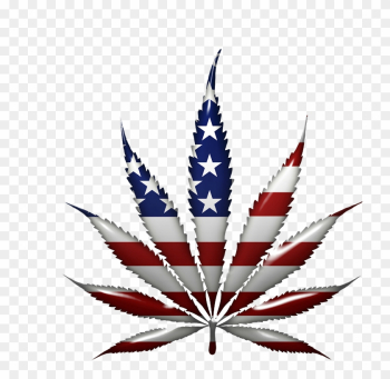 "local And State Authorities In Texas Spent An Estimated - Pot Leaf American Flag "local And State Authorities In Texas Spent An Estimated - Pot Leaf American Flag