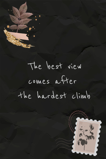 Quote the best view comes after the hardest climb message Quote the best view comes after the hardest climb message