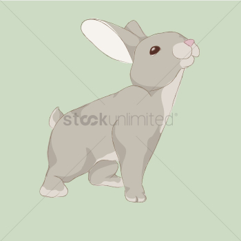 Rabbit Rabbit