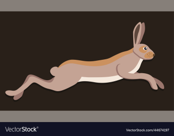 rabbit rabbit