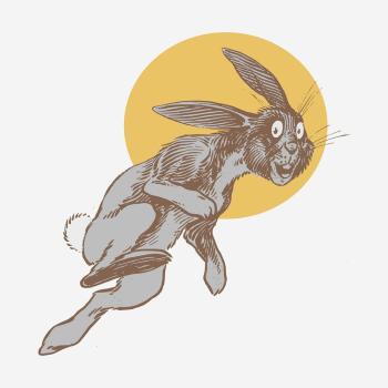 Rabbit and moon vintage illustration. | Free Photo - rawpixel Rabbit and moon vintage illustration. | Free Photo - rawpixel