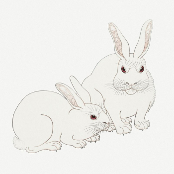 Rabbit collage element, Japanese vintage | Free PSD Illustration - rawpixel Rabbit collage element, Japanese vintage | Free PSD Illustration - rawpixel
