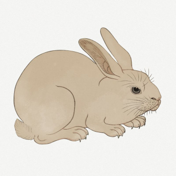 Rabbit collage element, Japanese vintage | Free PSD Illustration - rawpixel Rabbit collage element, Japanese vintage | Free PSD Illustration - rawpixel
