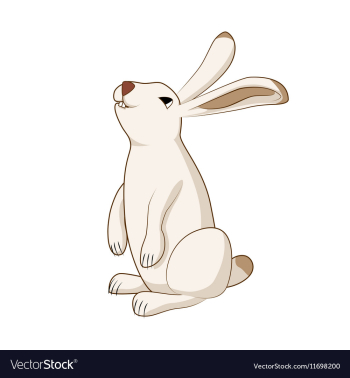 Rabbit cute hare bunny isolated vector image Rabbit cute hare bunny isolated vector image