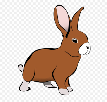 Rabbit Hare Clip art - Rabbit Cliparts Rabbit Hare Clip art - Rabbit Cliparts