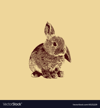 rabbit vintage creative design rabbit vintage creative design