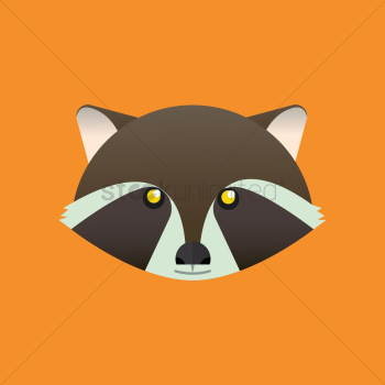Raccoon Raccoon