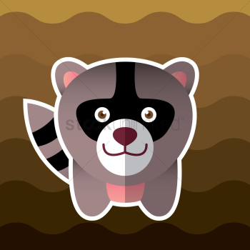 Raccoon Raccoon