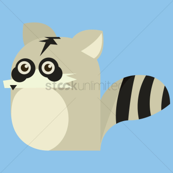 Raccoon Raccoon