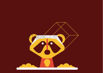 Raccoon Raccoon