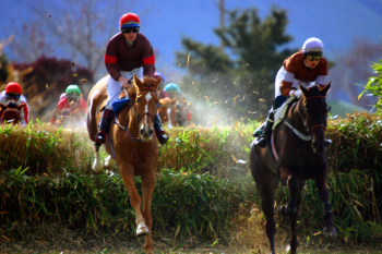 racing_4.jpg racing_4.jpg