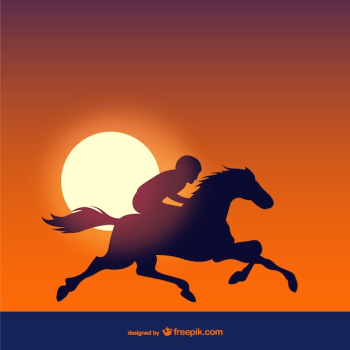 Racing horse at sunset Racing horse at sunset