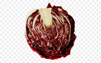radicchio vegetable leaf vegetable red cabbage radicchio vegetable leaf vegetable red cabbage