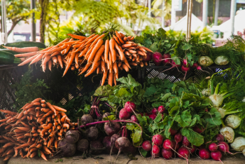 Radish And Carrots Radish And Carrots