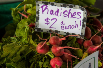 Radishes With Price Tag Radishes With Price Tag