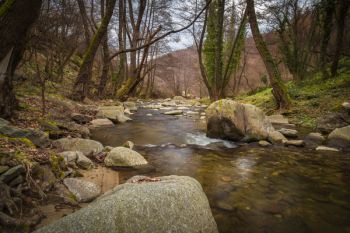 Raging River Raging River