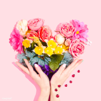 Rainbow flower heart Rainbow flower heart