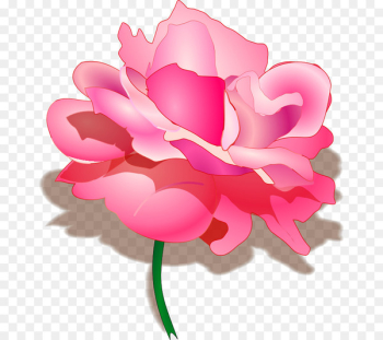Raksha Bandhan Hindi Happiness Quotation Sister - Picture Of Pink Rose 