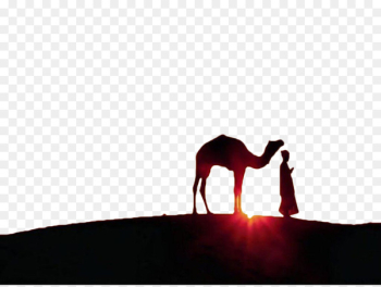 Ramadan Eid al-Fitr Eid Mubarak Muslim Jumuatul-Wida - Sunset under the camel 