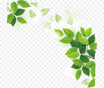 Ramadan Iftar Muslim Fasting in Islam Allah - Vector leaves decoration 