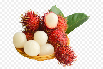 Rambutan Fruit Lychee Red - Red fresh red hair Dan Rambutan Fruit Lychee Red - Red fresh red hair Dan