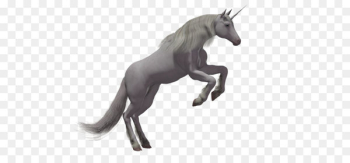 Rarity Winged unicorn Flight - Unicorn PNG 