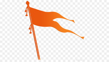 Rashtriya Swayamsevak Sangh India Chess Bhagwa Jhanda Muslim Rashtriya Manch - India 