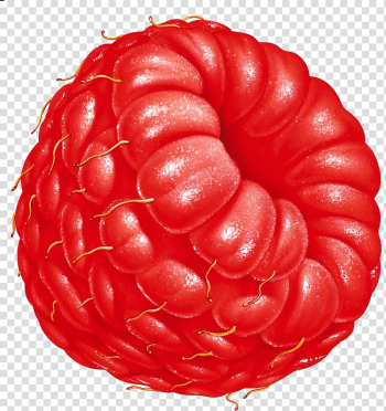 Raspberry Fruit , raspberry transparent background PNG clipart