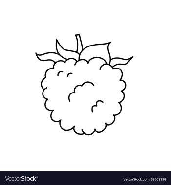 raspberry or blackberry berry sketch black line raspberry or blackberry berry sketch black line