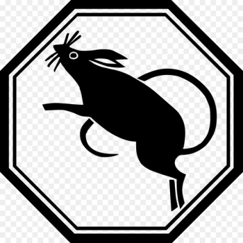 Rat Chinese zodiac Chinese New Year Astrology - rat Rat Chinese zodiac Chinese New Year Astrology - rat