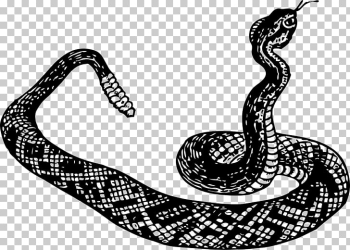 Rattlesnake Black mamba Cobra , cartoon snake PNG clipart | free ...