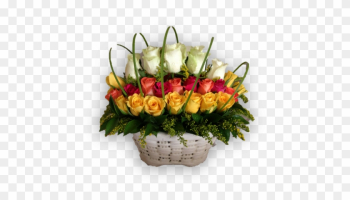 Ravishing Roses - Garden Roses Ravishing Roses - Garden Roses