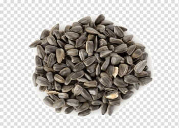 Raw foodism Sunflower seed Sesame Nutrition, seeds transparent background PNG clipart
