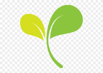 Raw Living Food And Vegan Lifestyle Lessons - Food Raw Living Food And Vegan Lifestyle Lessons - Food