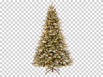 Real Christmas Tree White PNG