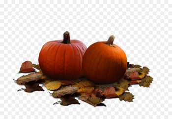 Real Pumpkin PNG Clipart png download - 1600*1071 - Free ...