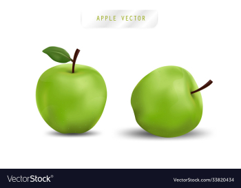 realistic apple fruit and fresh apple realistic apple fruit and fresh apple